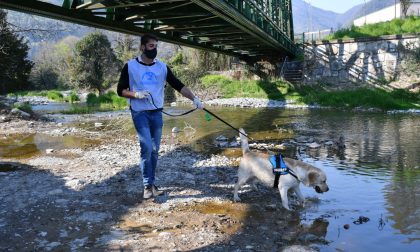 Leidaa al fianco delle famiglie colpite dal Covid: "Portiamo a spasso o dal veterinario i loro animali"