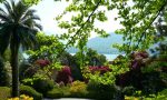 Dal Cedro del Libano alla Palma di Guadalupe: Villa Carlotta risorge dalle sue piante (da adottare)