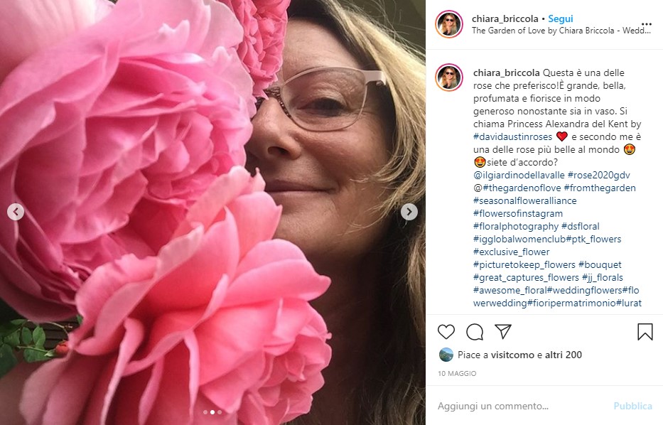 La rosa di Chiara è la più bella del concorso del Giardino della Valle: scelta tra oltre 50