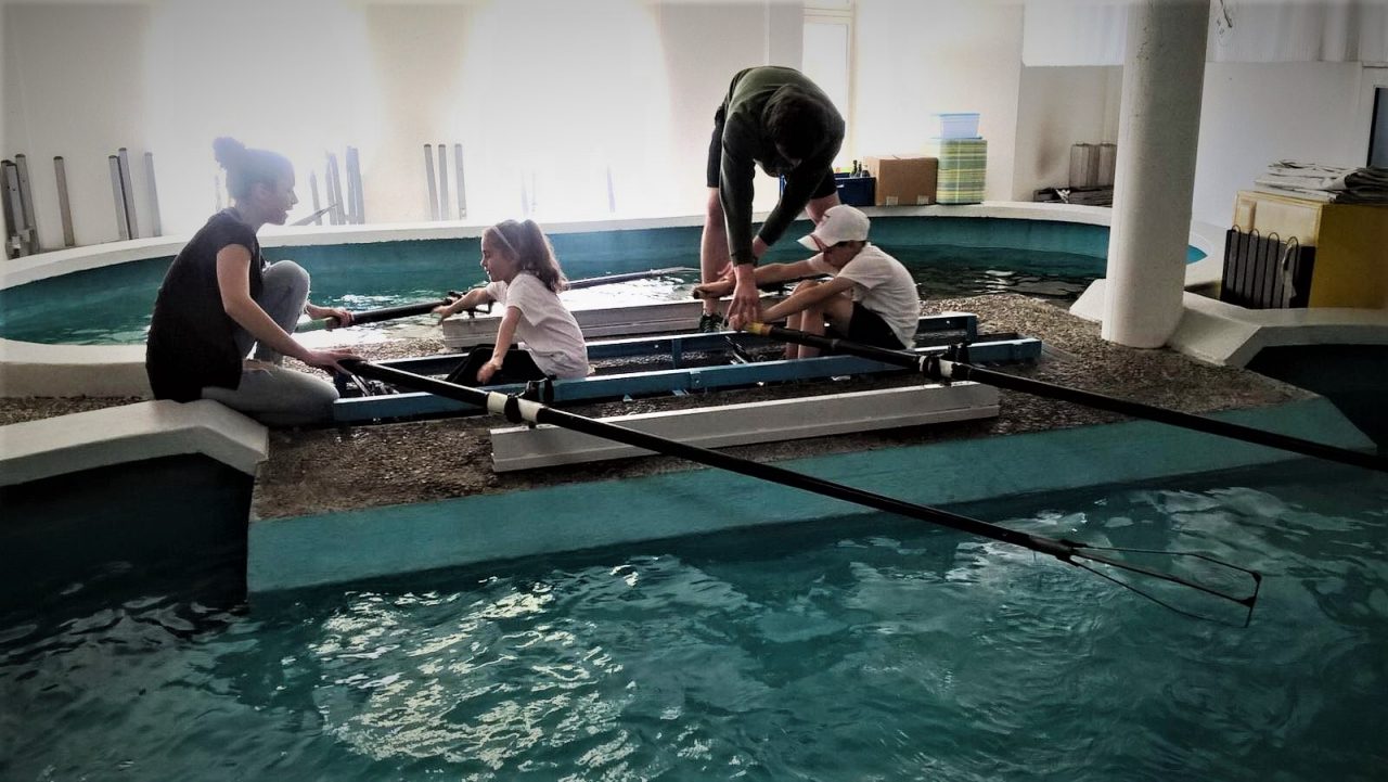 Canottieri Moltrasio a lezione di canoa e kayak sul Lario