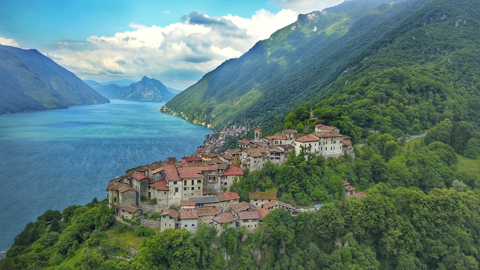 Il Ceresio un quadro d’autore: la fioritura delle alghe tinge di verde lo specchio d’acqua FOTO