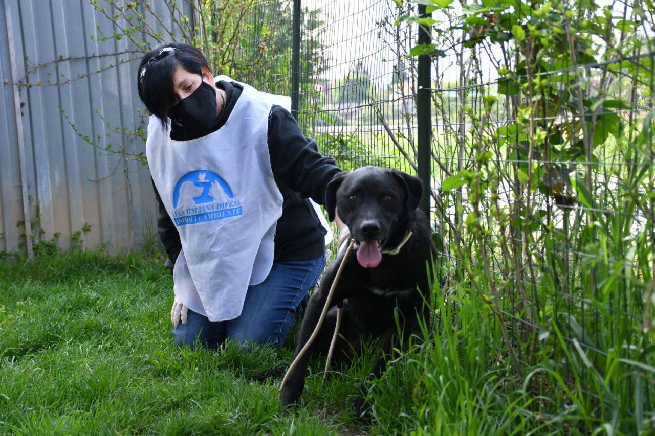 L’associazione Anima Meticcia lancia un appello per Macchia