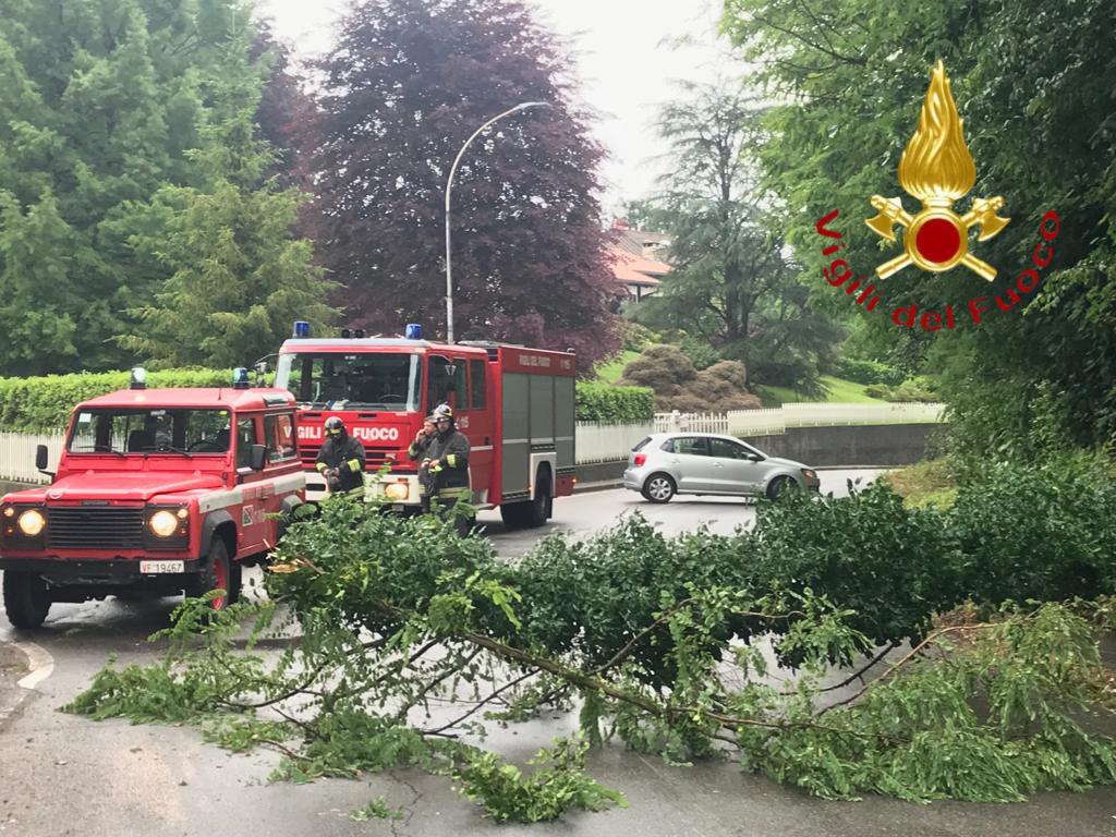 Maltempo, Vigili del fuoco in azione sulle strade