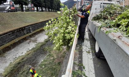 Sfalcio della vegetazione sul Cosia grazie alla Protezione civile