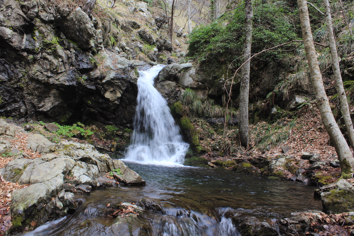 Giro_delle_cascate_Lupo_e_Faggi_Parco_Nazionale_della_Sila_Calabria