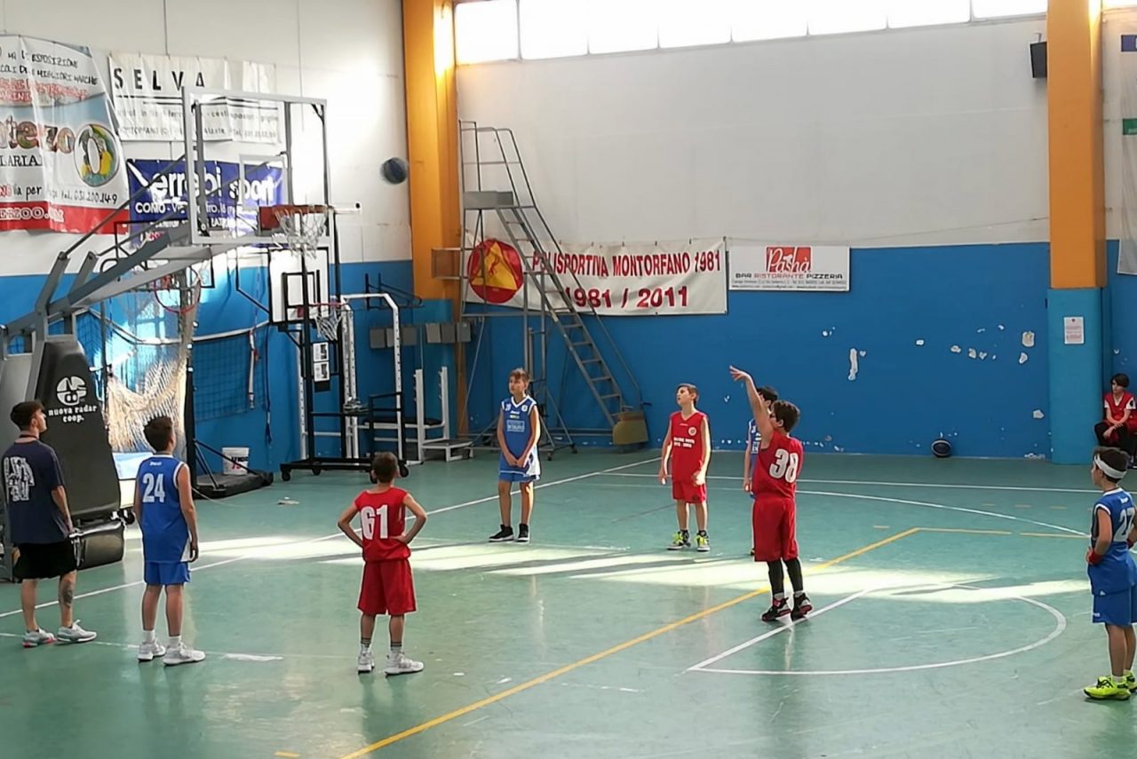Sport Club Brianza al via nel 2020/21 settore giovanile, minibasket e Gioco Sport