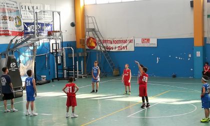 Sport Club Brianza al via nel 2020/21 settore giovanile, minibasket e Gioco Sport