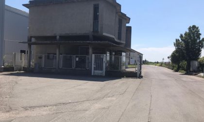 Puntura d'insetto a Figino paura per un operaio