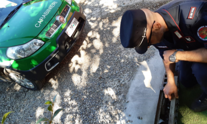 Scoperto uno scarico abusivo all'interno del Parco della Spina Verde FOTO