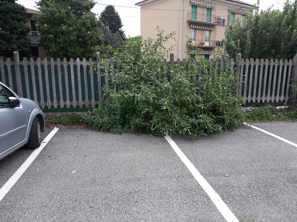 Degrado in stazione, chiesto l’intervento dell’Amministrazione