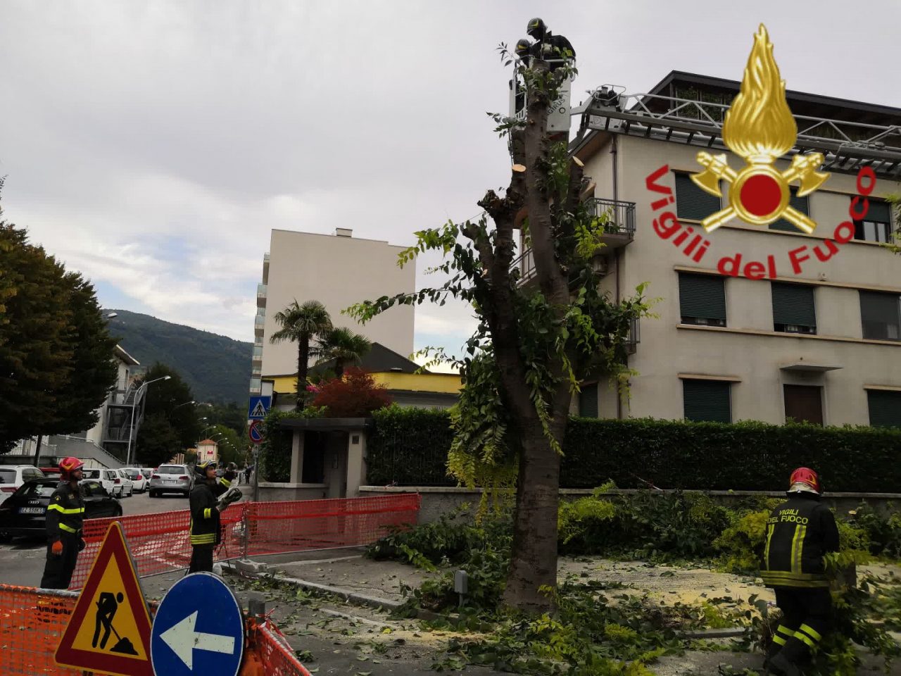 Piante pericolanti a Como: arrivano i Vigili del fuoco