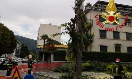 Piante pericolanti a Como: arrivano i Vigili del fuoco