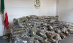 Dalla Sardegna a Varese oltre 100 chili di marijuana: arrestato un 39enne VIDEO