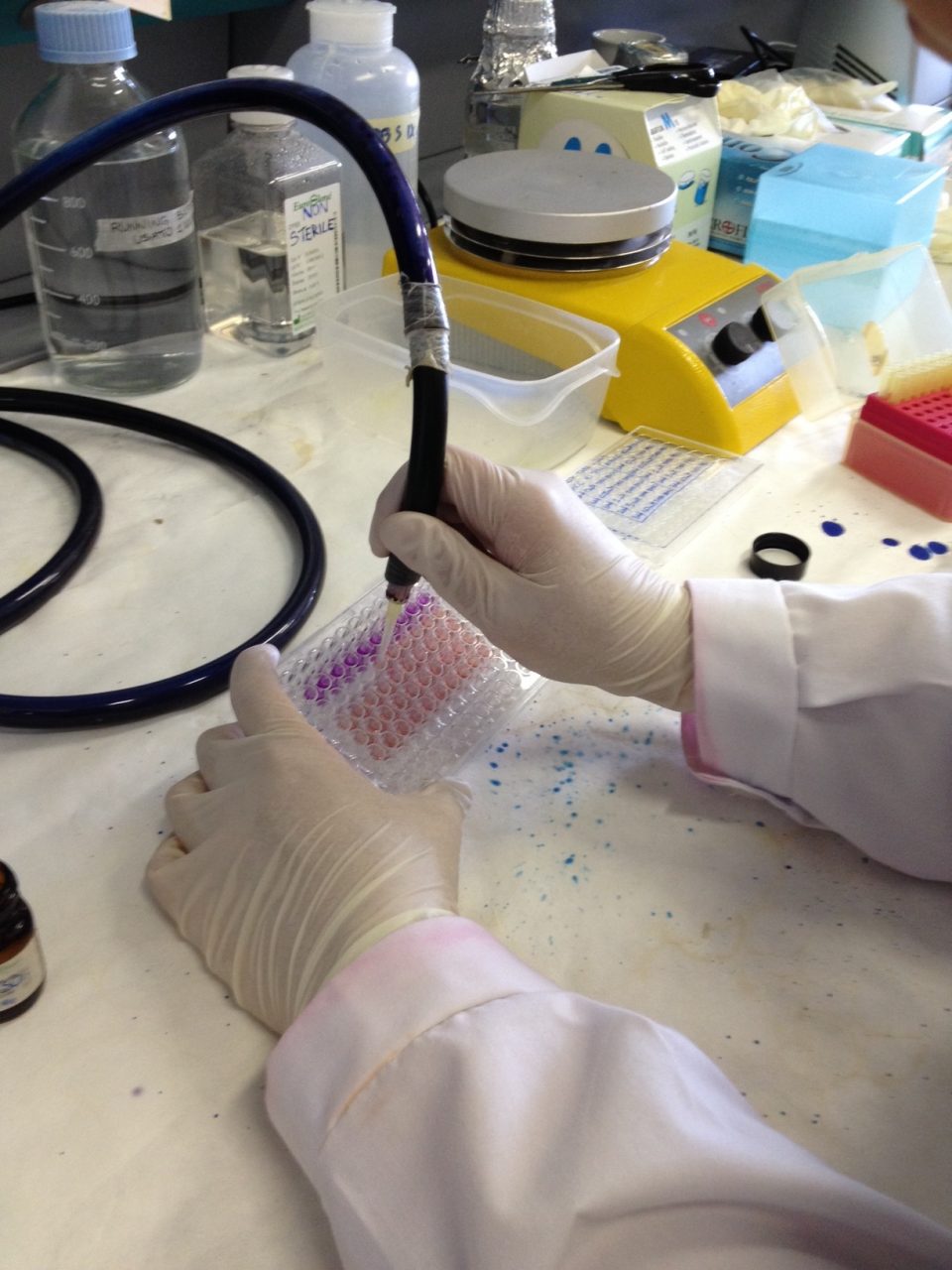 Biotech Week, partecipa anche l’Università dell’Insubria