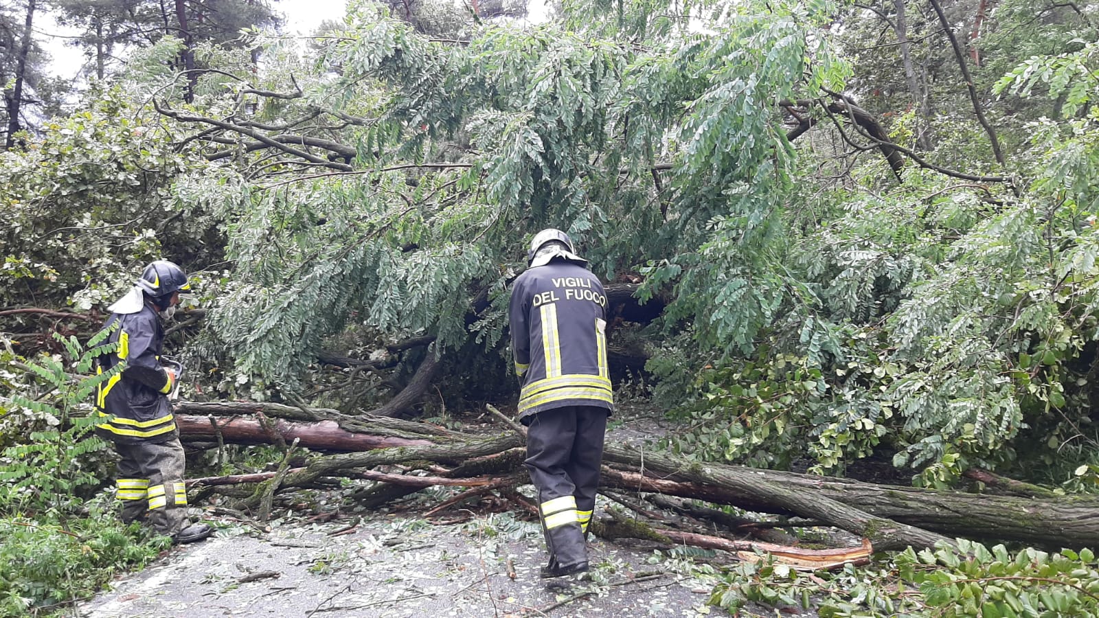 Vigili del fuoco Appiano Gentile