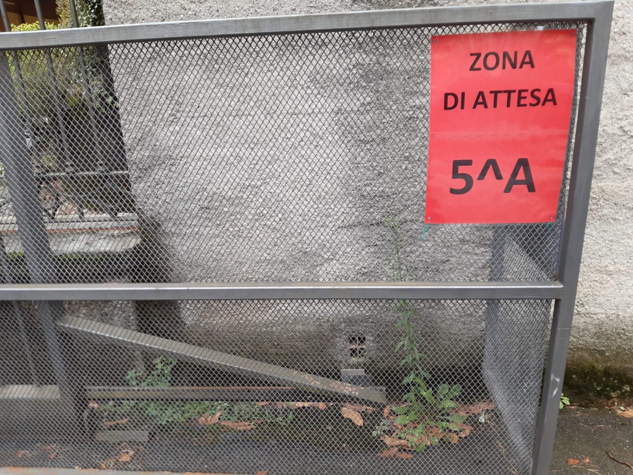 Al Cardinal Ferrari la gioia dei bambini per il rientro a scuola VIDEO