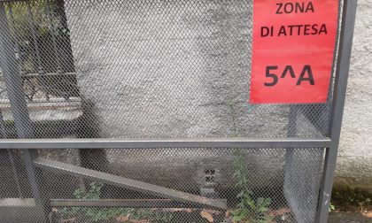Al Cardinal Ferrari la gioia dei bambini per il rientro a scuola VIDEO