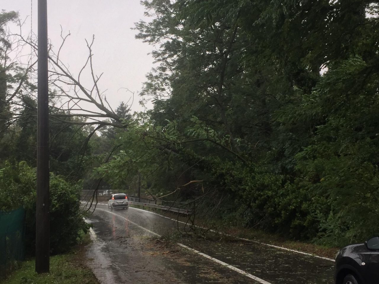 Maltempo e alberi caduti a Olgiate. La minoranza attacca: “Scarsa manutenzione”