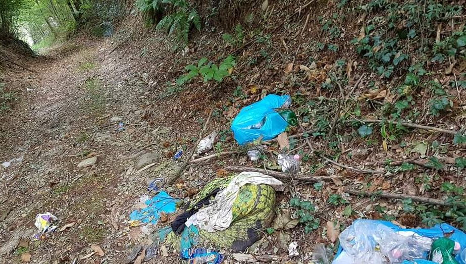 Rifiuti abbandonati nei boschi di Fino: “Ogni 15/20 giorni una discarica”