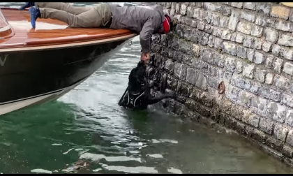 Rimane incastrato tra le barche: labrador salvato da un bellagino