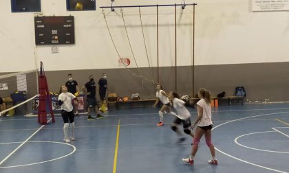 Albese Volley la Tecnoteam ha ripreso ad allenarsi. Domani ultimo test