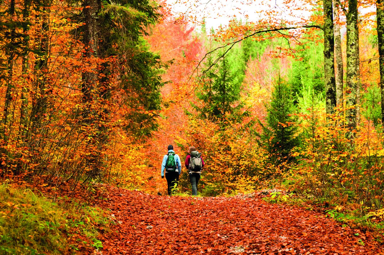 Alla scoperta di foliage e tartufi neri al Parco di Villa Carcano