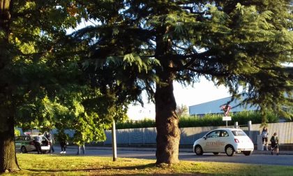 Incidente a Mariano: scontro tra auto e monopattino