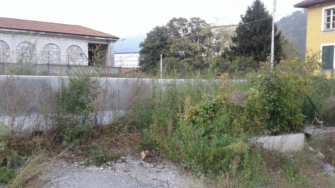 In via Regina Teodolinda il parcheggio-giungla. Lissi: “Hanno chiuso il centro migranti per portare degrado”