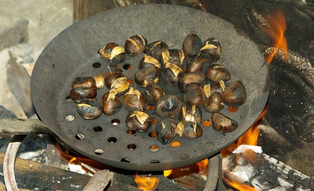 Castagne a Como-Lecco una buona annata… Attenzione però a dove si raccolgono!