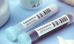 Coronavirus, picco di contagi: il sindaco chiede prudenza