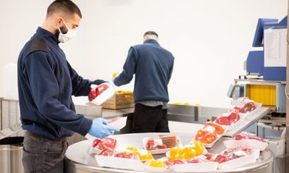 Iperal: nasce la struttura pensata per la spesa a domicilio