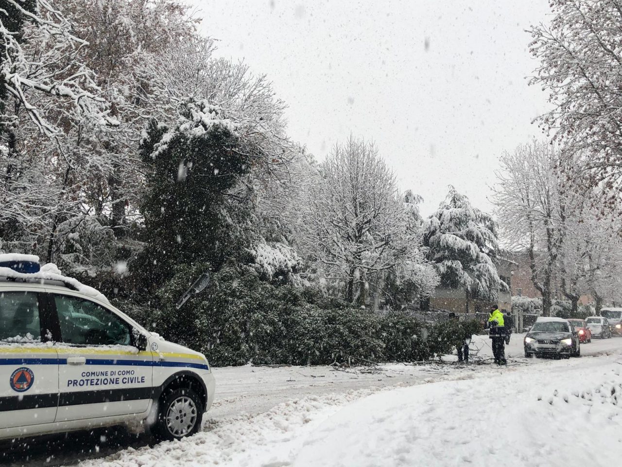 Neve nell’Olgiatese disagi agli ingressi delle scuole. Albero caduto a San Fermo FOTO