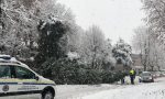 Neve nell'Olgiatese disagi agli ingressi delle scuole. Albero caduto a San Fermo FOTO