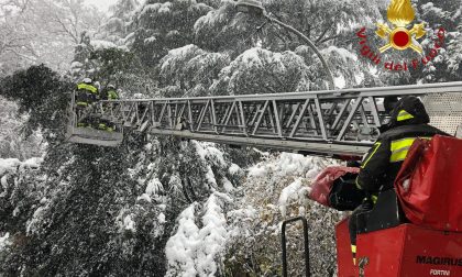 Neve e disagi: pompieri in azione per tagliare le piante e autocarri in difficoltà sulla Novedratese