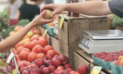 Cambia il regolamento del mercato di Mariano: nuovi orari e regole per le piazzole