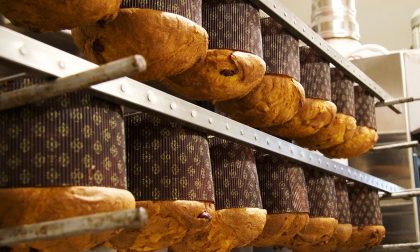 "Panettone sospeso", continua la generosità dei comaschi: 60 dolci artigiani donati