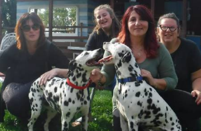 Pongo e Peggy, due cucciaghesi speciali che ora hanno una nuova casa STORIE SOTTO L’ALBERO