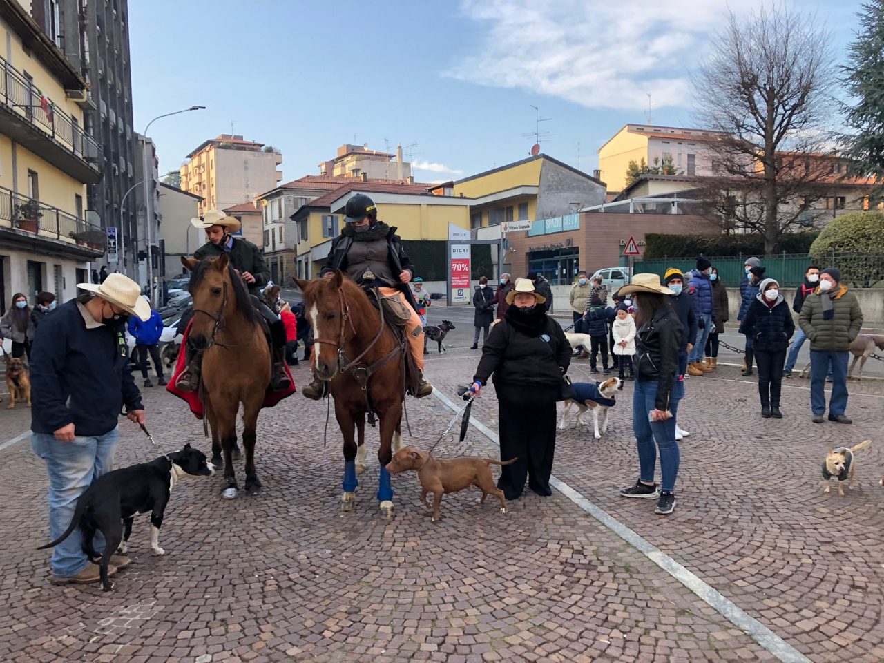 Olgiate, benedizione degli animali dal parroco per Sant’Antonio