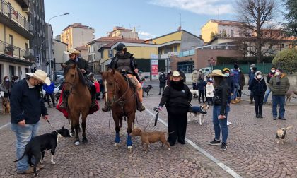 Olgiate, benedizione degli animali dal parroco per Sant'Antonio