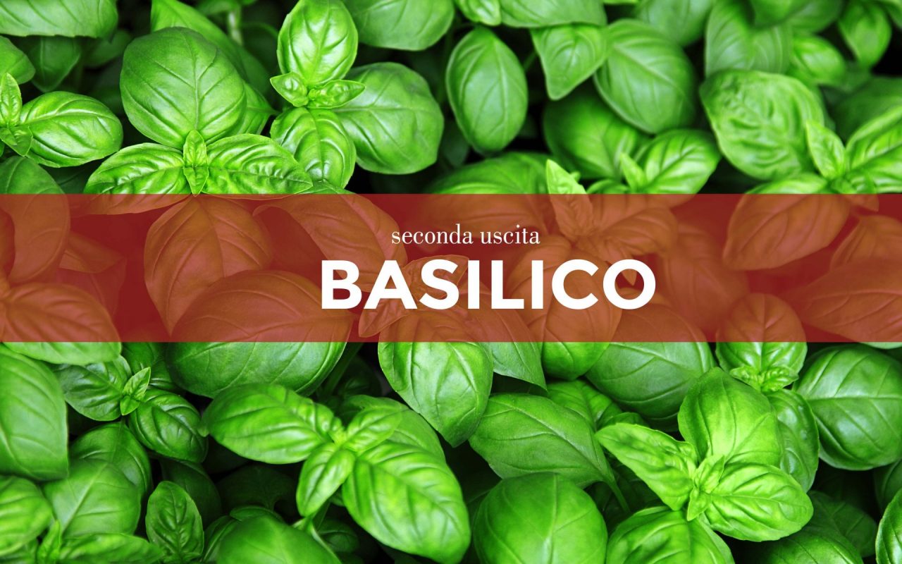 Tutti ortisti: in edicola con i nostri settimanali i semi di basilico
