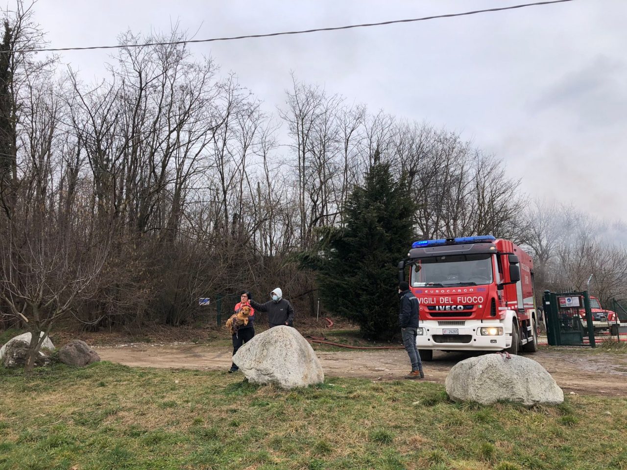 Incendio al canile di Olgiate Comasco: si cerca un cane disperso, gli altri sono salvi