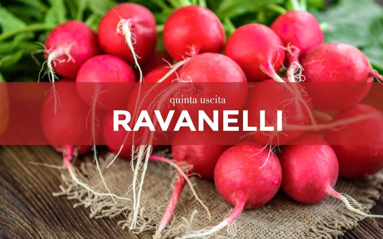 In regalo con il Giornale di Cantù, Erba e Olgiate i semi di ravanello