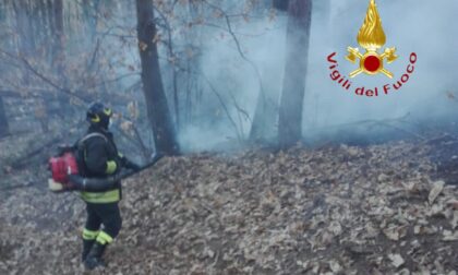 Incendio vegetazione a Brenna