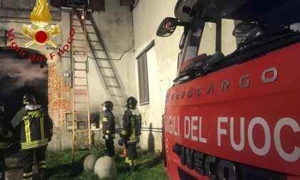 Incendio in un box, Vigili del fuoco salvano due gatti