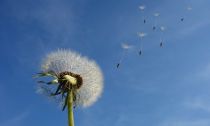 Inizio settimana con cieli azzurri e un po’ di vento | Meteo Lombardia