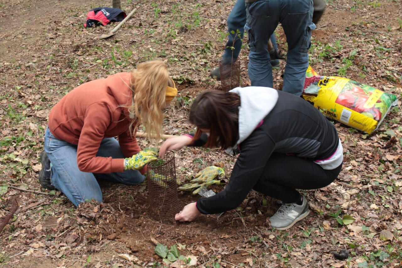 Un bosco della speranza in dono alla comunità
