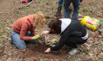 Un bosco della speranza in dono alla comunità