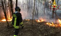 Incendio a Caccivio, mille metri quadrati di vegetazione distrutta
