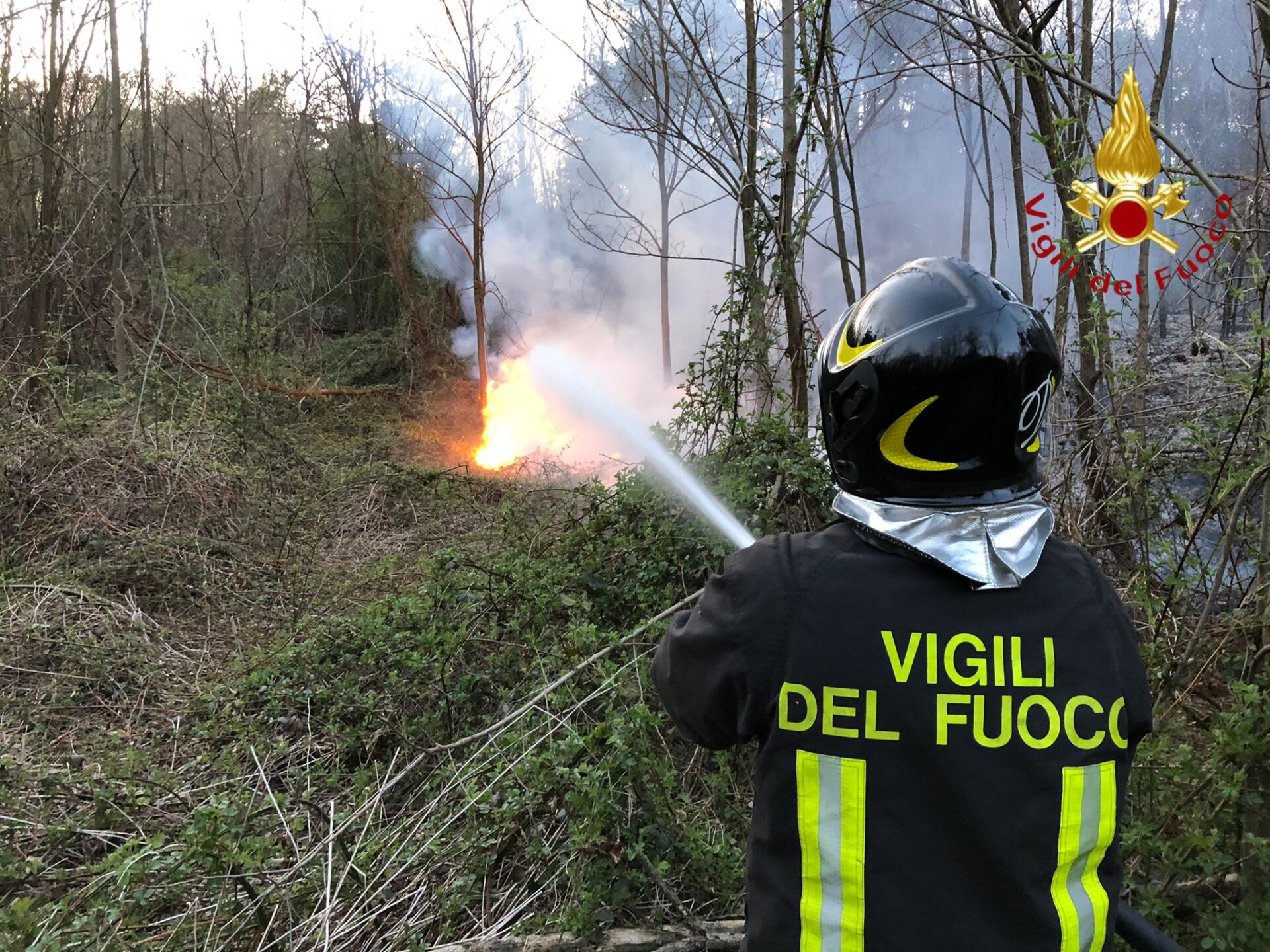 Incendio a Caccivio, mille metri quadrati di vegetazione andata distrutta.
