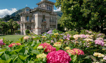 Villa Bernasconi riapre tra mostre e "cacciatori botanici"